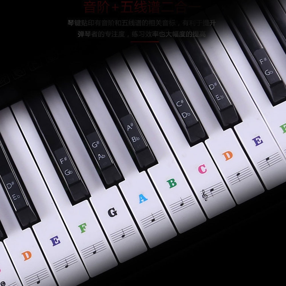 Transparent Detachable Music Decal Notes Piano Keyboard Stickers 54 61 Or 88 key Electronic 